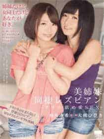 ytb视频旧版本lsp