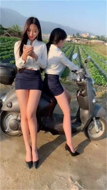 猫咪地域网名入口18