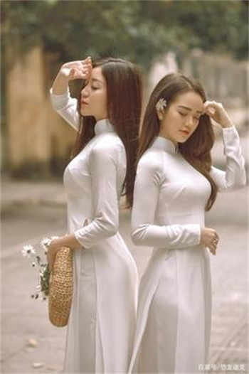 公兔子会怀孕吗