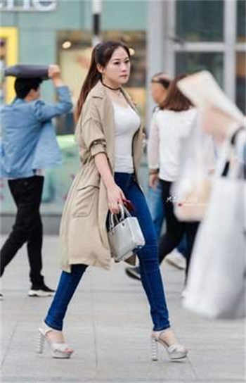 大象导航带你回家