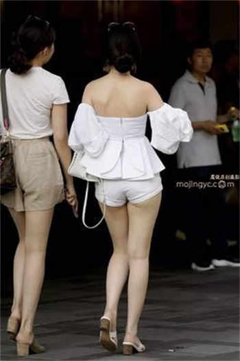 霍冷整本免费