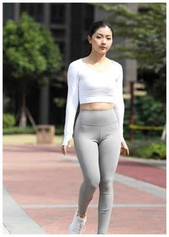 ty66免费登陆
